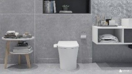 Intelligent Toilet